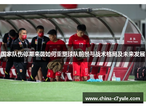 国家队伤停潮来袭如何重塑球队前景与战术格局及未来发展